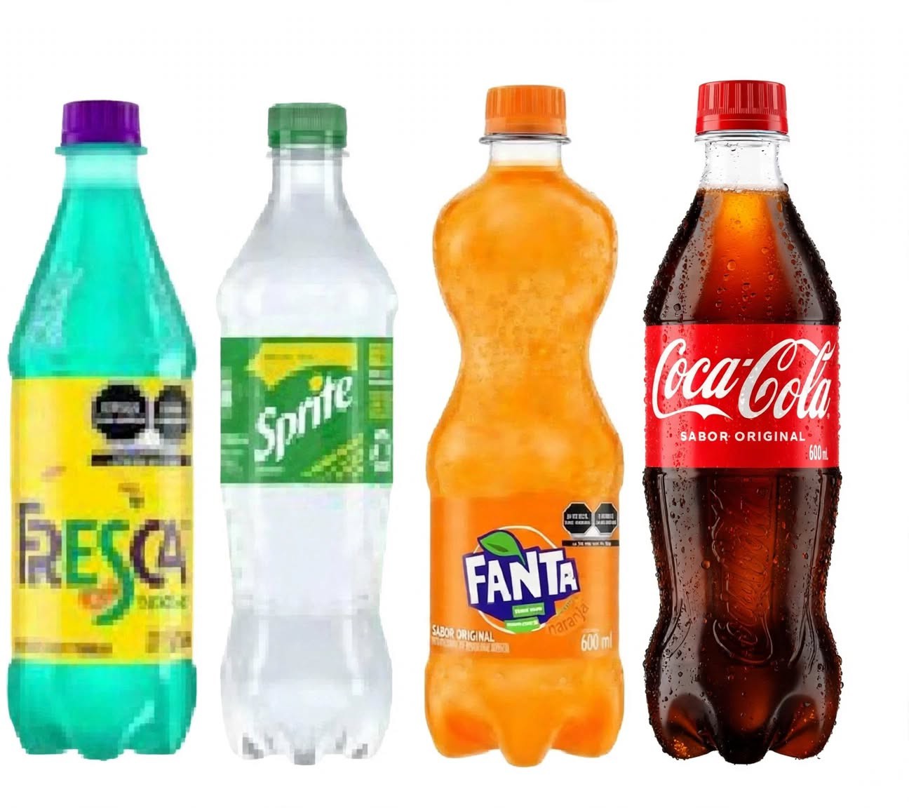 REFRESCO SABORES 600